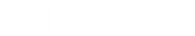 LOAY.AI - AI Car & Call Center Solutions